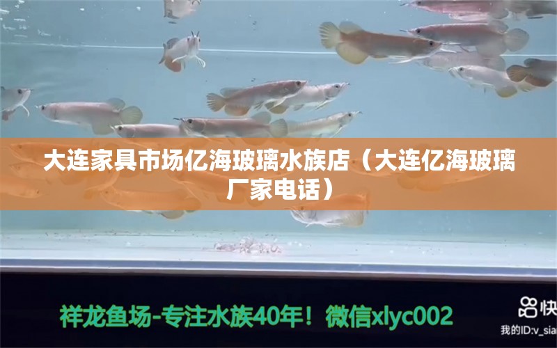 大連家具市場億海玻璃水族店（大連億海玻璃廠家電話）