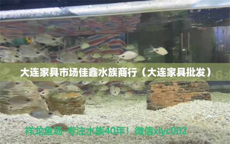 大連家具市場佳鑫水族商行（大連家具批發(fā)）