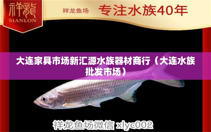 大連家具市場新匯源水族器材商行（大連水族批發(fā)市場）