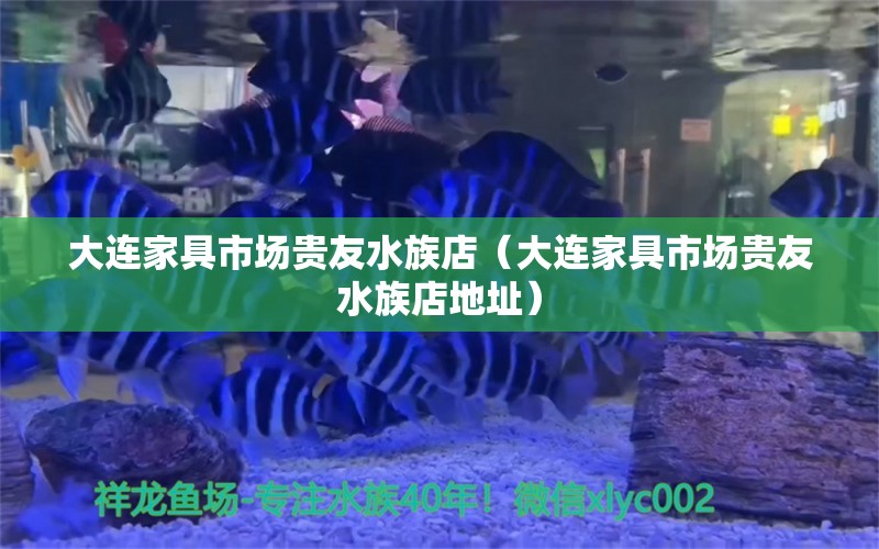 大連家具市場(chǎng)貴友水族店（大連家具市場(chǎng)貴友水族店地址） 全國(guó)水族館企業(yè)名錄