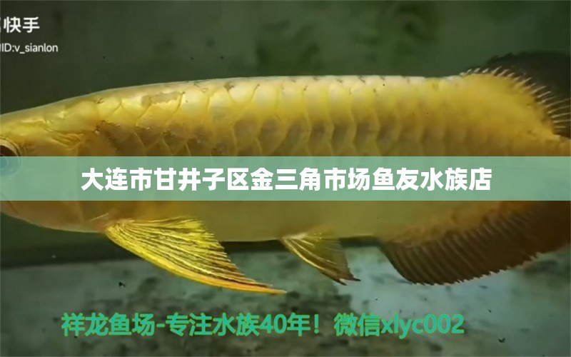 大連市甘井子區(qū)金三角市場魚友水族店