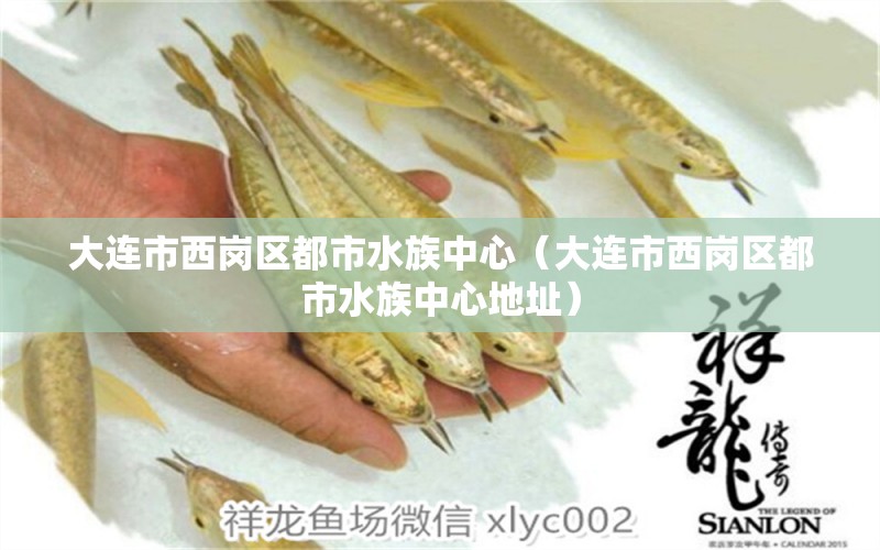 大連市西崗區(qū)都市水族中心（大連市西崗區(qū)都市水族中心地址） 全國水族館企業(yè)名錄