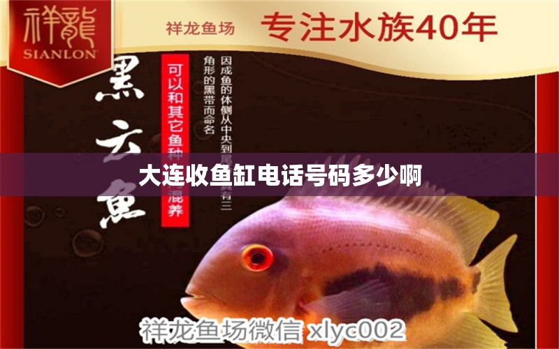 大連收魚缸電話號(hào)碼多少啊 帝王三間魚