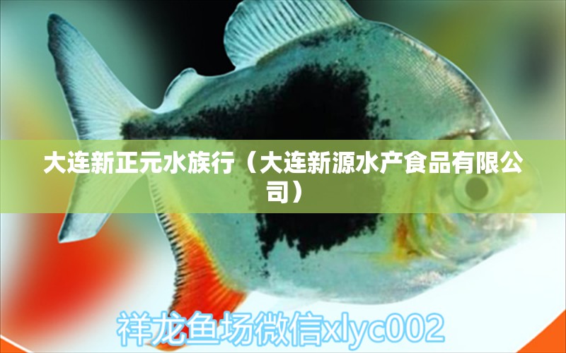 大連新正元水族行（大連新源水產(chǎn)食品有限公司） 全國(guó)水族館企業(yè)名錄