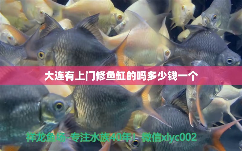 大連有上門修魚缸的嗎多少錢一個 祥龍魚場