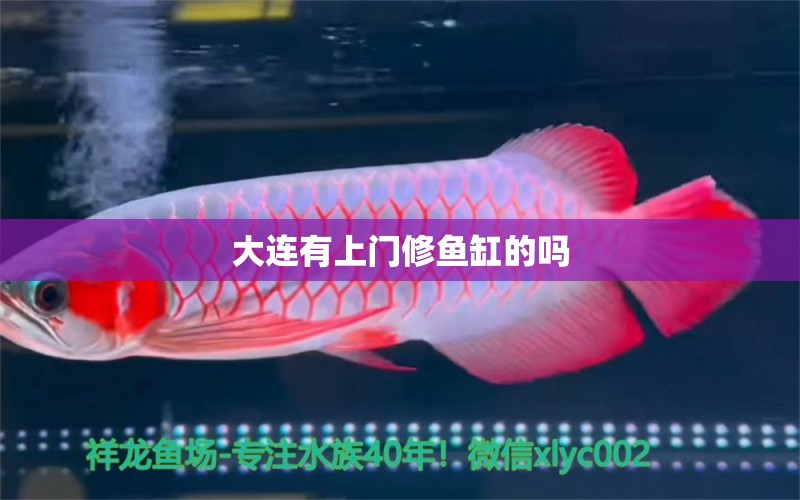 大連有上門修魚缸的嗎 其他品牌魚缸