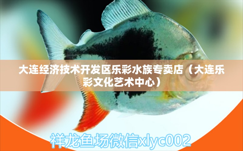 大連經濟技術開發(fā)區(qū)樂彩水族專賣店（大連樂彩文化藝術中心） 全國水族館企業(yè)名錄