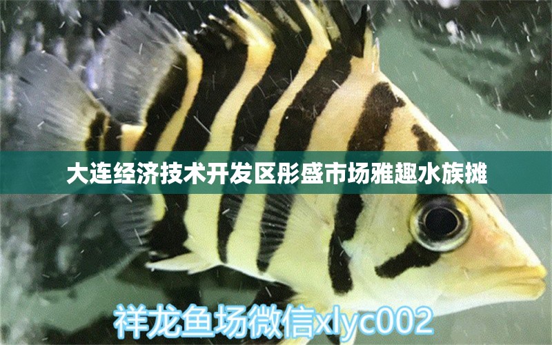 大連經(jīng)濟(jì)技術(shù)開發(fā)區(qū)彤盛市場雅趣水族攤