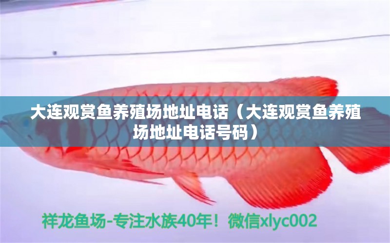 大連觀賞魚養(yǎng)殖場地址電話（大連觀賞魚養(yǎng)殖場地址電話號碼）