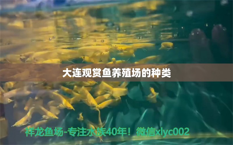 大連觀賞魚養(yǎng)殖場的種類