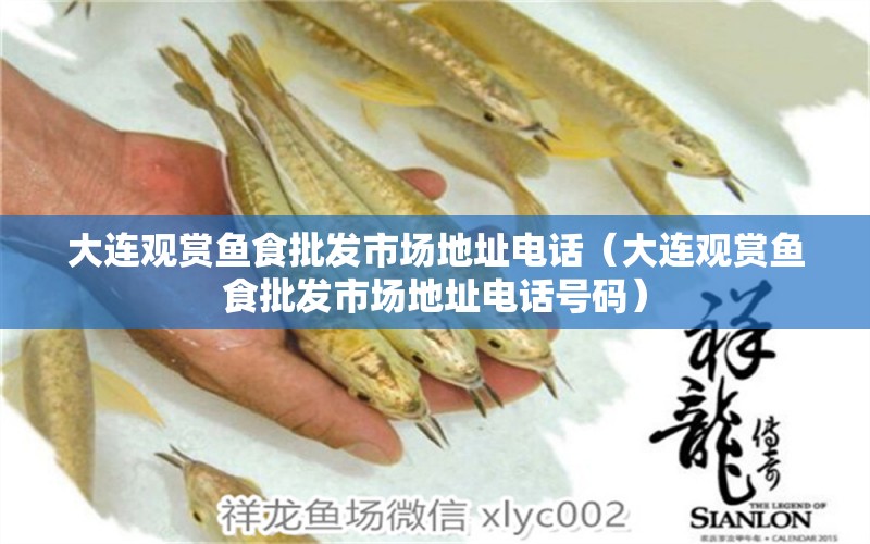 大連觀賞魚食批發(fā)市場地址電話（大連觀賞魚食批發(fā)市場地址電話號碼） 祥龍水族醫(yī)院