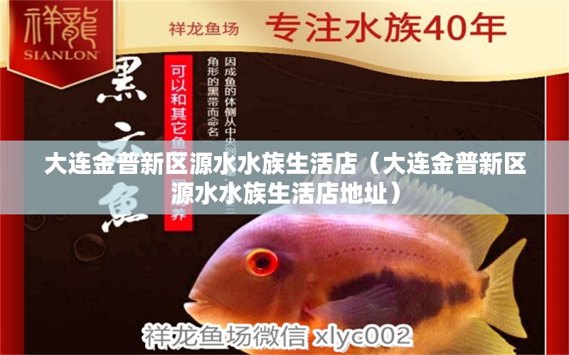 大連金普新區(qū)源水水族生活店（大連金普新區(qū)源水水族生活店地址） 全國水族館企業(yè)名錄