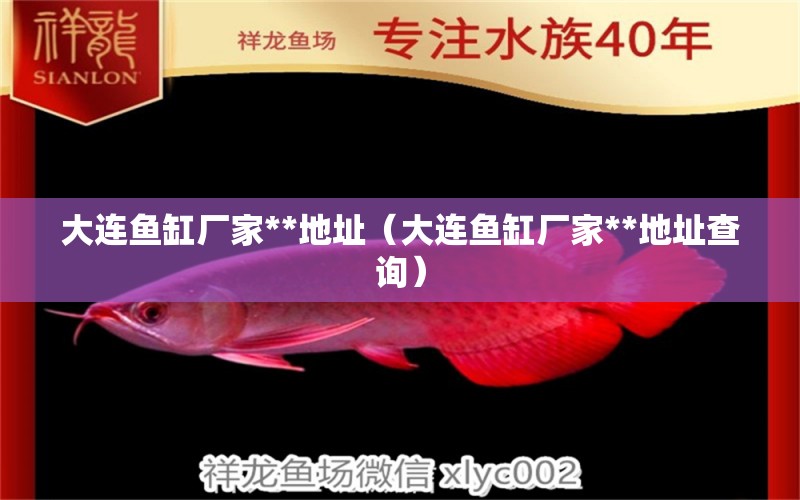 大連魚缸廠家**地址（大連魚缸廠家**地址查詢） 祥龍水族醫(yī)院