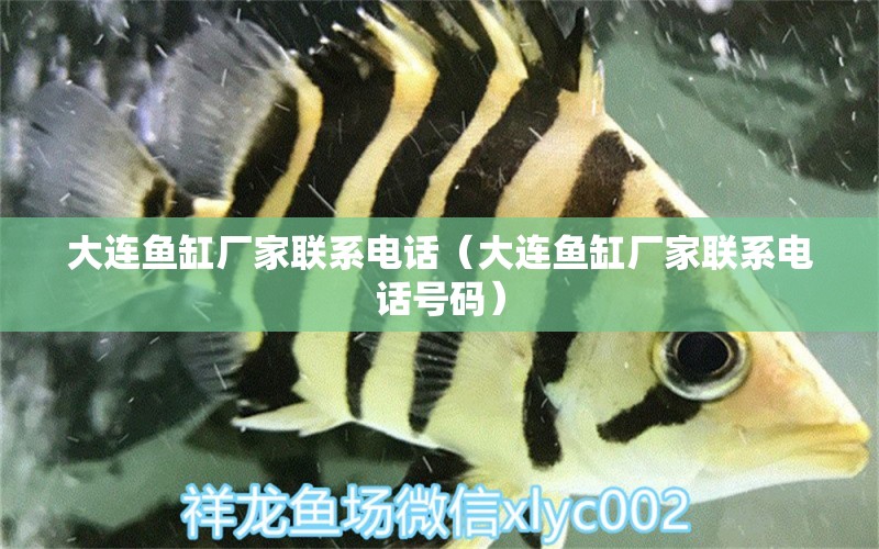 大連魚(yú)缸廠家聯(lián)系電話（大連魚(yú)缸廠家聯(lián)系電話號(hào)碼）