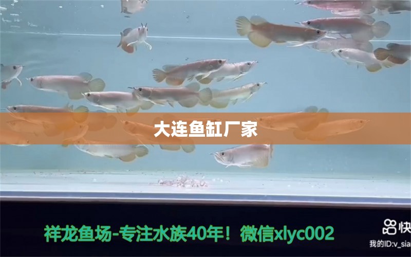 大連魚缸廠家 其他品牌魚缸