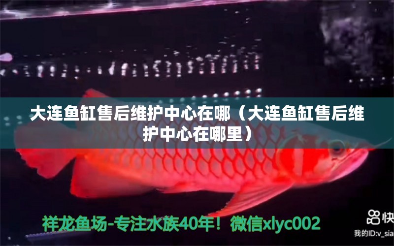 大連魚缸售后維護中心在哪（大連魚缸售后維護中心在哪里）