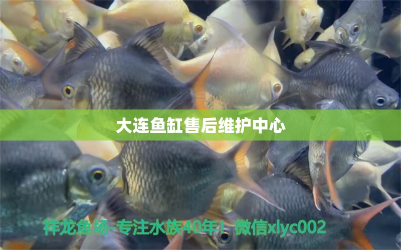 大連魚缸售后維護(hù)中心 其他品牌魚缸