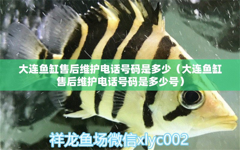 大連魚(yú)缸售后維護(hù)電話號(hào)碼是多少（大連魚(yú)缸售后維護(hù)電話號(hào)碼是多少號(hào)）