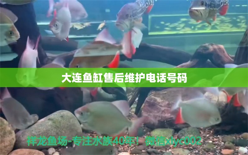 大連魚缸售后維護電話號碼 其他品牌魚缸