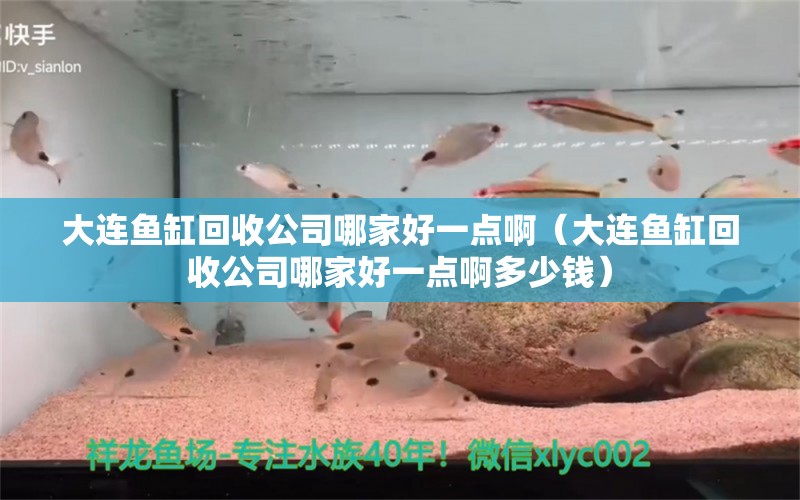 大連魚缸回收公司哪家好一點啊（大連魚缸回收公司哪家好一點啊多少錢）