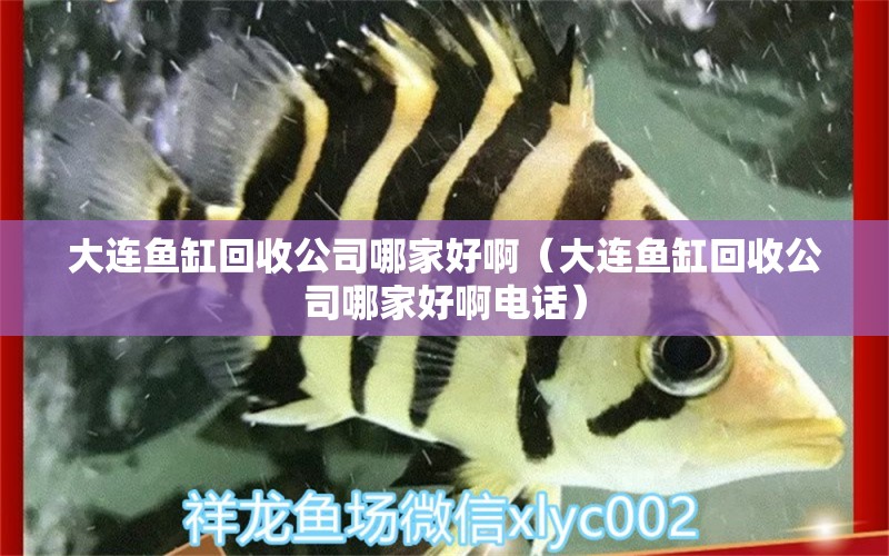 大連魚缸回收公司哪家好?。ù筮B魚缸回收公司哪家好啊電話）