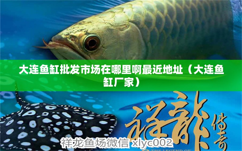 大連魚缸批發(fā)市場在哪里啊最近地址（大連魚缸廠家）