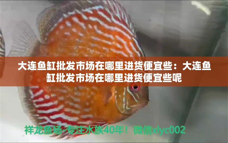 大連魚缸批發(fā)市場在哪里進(jìn)貨便宜些：大連魚缸批發(fā)市場在哪里進(jìn)貨便宜些呢