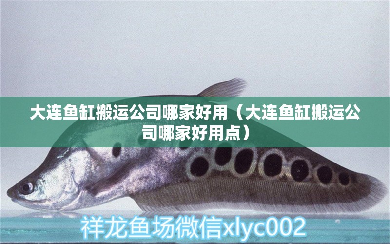 大連魚缸搬運(yùn)公司哪家好用（大連魚缸搬運(yùn)公司哪家好用點(diǎn)）