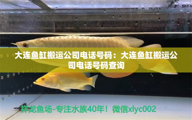 大連魚缸搬運(yùn)公司電話號碼：大連魚缸搬運(yùn)公司電話號碼查詢