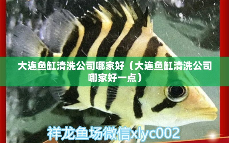 大連魚缸清洗公司哪家好（大連魚缸清洗公司哪家好一點(diǎn)）