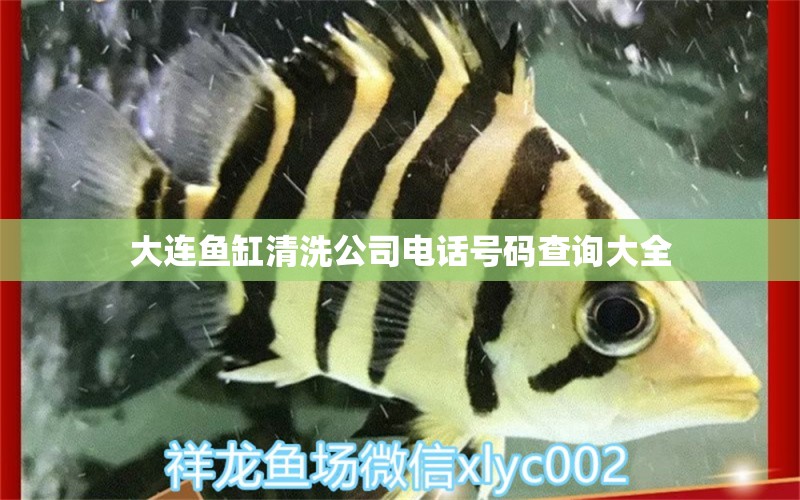 大連魚缸清洗公司電話號(hào)碼查詢大全 祥龍魚場