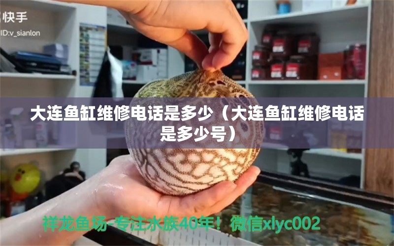 大連魚缸維修電話是多少（大連魚缸維修電話是多少號(hào)） 其他品牌魚缸