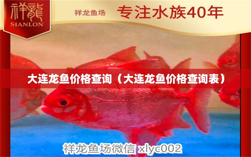 大連龍魚價格查詢（大連龍魚價格查詢表） 祥龍魚場