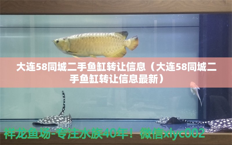 大連58同城二手魚缸轉(zhuǎn)讓信息（大連58同城二手魚缸轉(zhuǎn)讓信息最新） 印尼大湖漁場產(chǎn)業(yè)聯(lián)盟