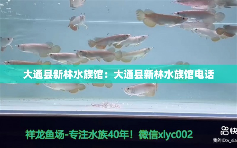 大通縣新林水族館：大通縣新林水族館電話