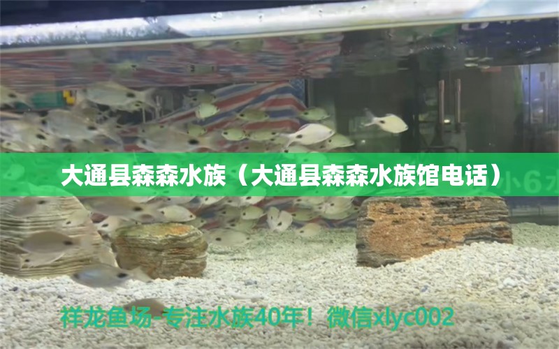 大通縣森森水族（大通縣森森水族館電話） 全國(guó)水族館企業(yè)名錄