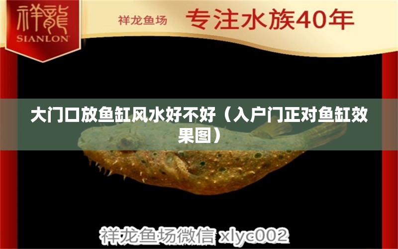 大門口放魚缸風(fēng)水好不好（入戶門正對(duì)魚缸效果圖） 喂食器