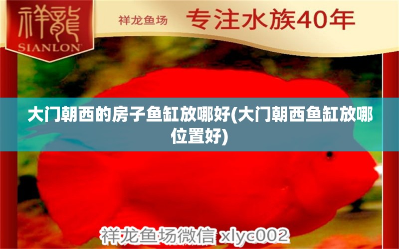 大門朝西的房子魚缸放哪好(大門朝西魚缸放哪位置好) 龍鳳鯉魚