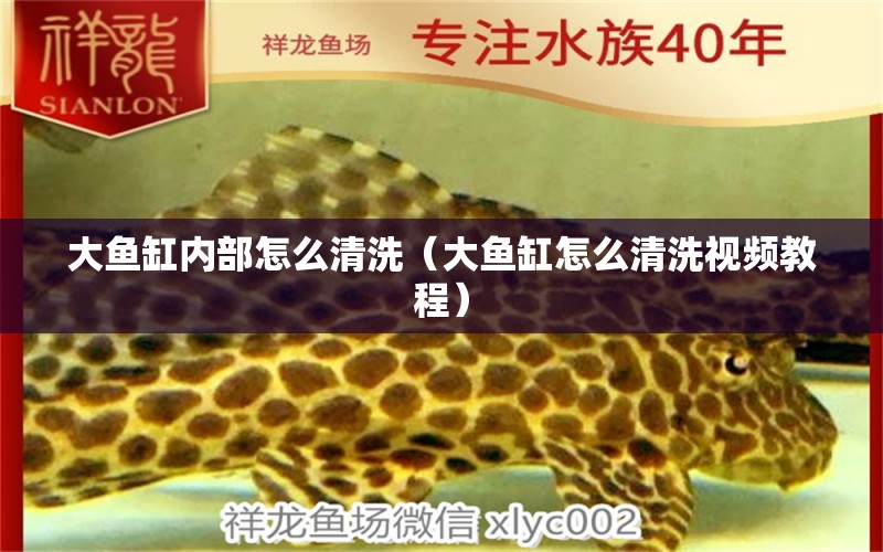 大魚(yú)缸內(nèi)部怎么清洗（大魚(yú)缸怎么清洗視頻教程） 觀賞魚(yú)進(jìn)出口 第1張