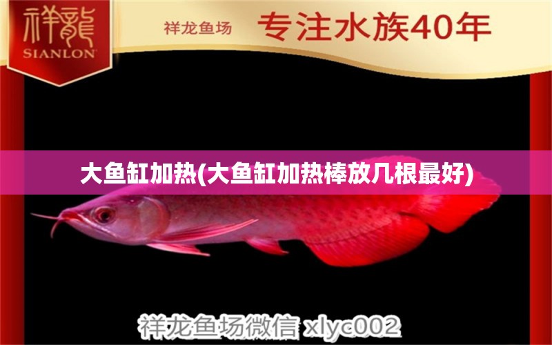 大魚缸加熱(大魚缸加熱棒放幾根最好)