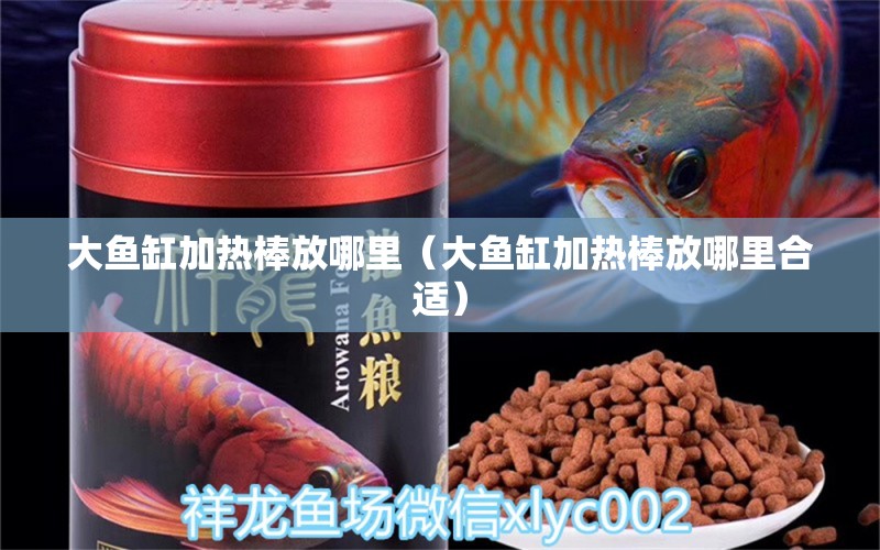 大魚缸加熱棒放哪里（大魚缸加熱棒放哪里合適）