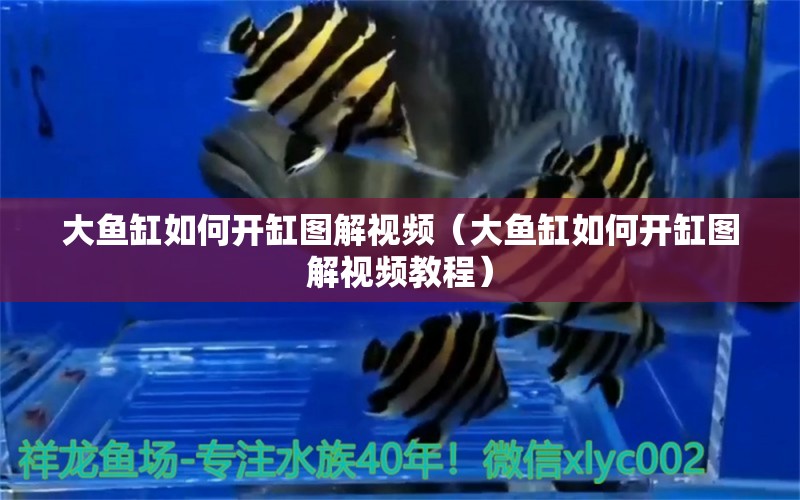 大魚缸如何開缸圖解視頻（大魚缸如何開缸圖解視頻教程）