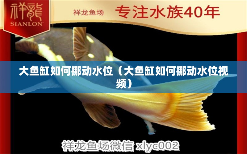 大魚缸如何挪動水位（大魚缸如何挪動水位視頻） 其他品牌魚缸