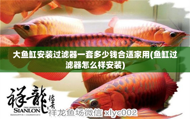 大魚(yú)缸安裝過(guò)濾器一套多少錢(qián)合適家用(魚(yú)缸過(guò)濾器怎么樣安裝) 麥肯斯銀版魚(yú)