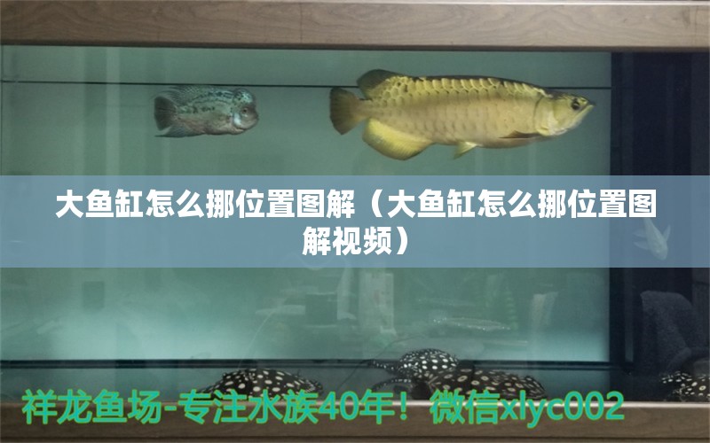 大魚缸怎么挪位置圖解（大魚缸怎么挪位置圖解視頻）