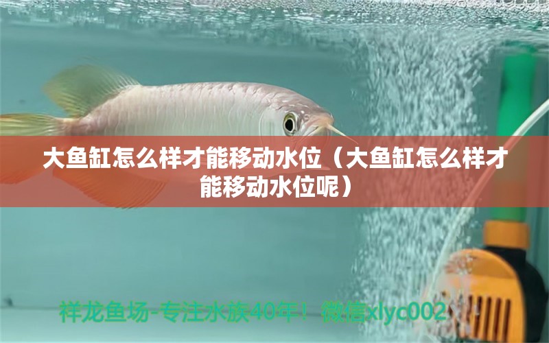 大魚缸怎么樣才能移動(dòng)水位（大魚缸怎么樣才能移動(dòng)水位呢）