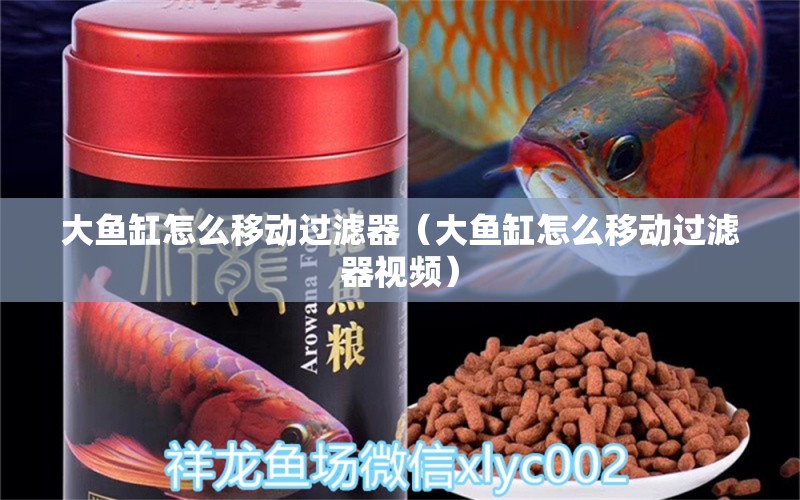 大魚缸怎么移動過濾器（大魚缸怎么移動過濾器視頻）