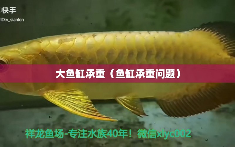 大魚缸承重（魚缸承重問題） 其他品牌魚缸