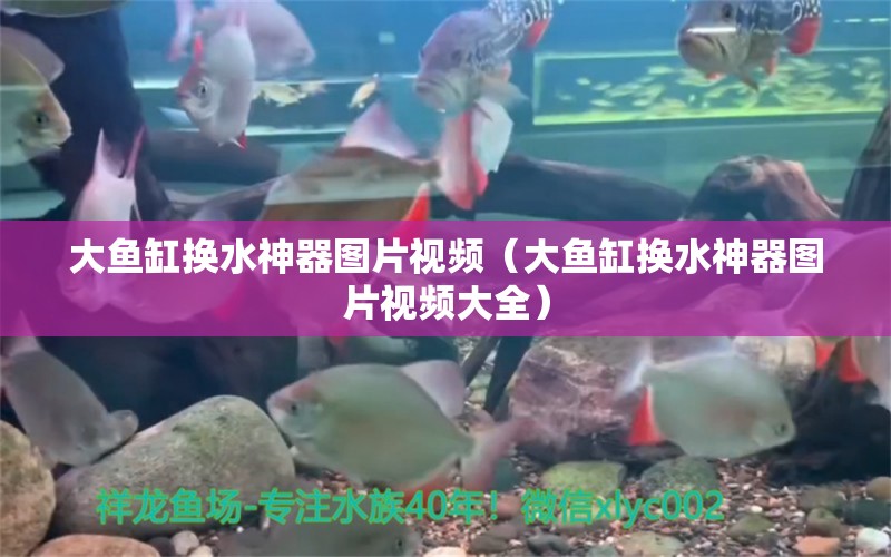 大魚缸換水神器圖片視頻（大魚缸換水神器圖片視頻大全）