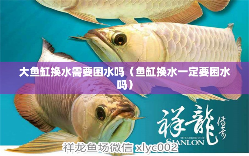 大魚缸換水需要困水嗎（魚缸換水一定要困水嗎）